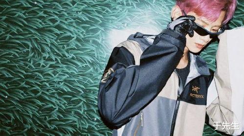 刘大锤最新爆料宋轶视频,神秘片段引网友热议