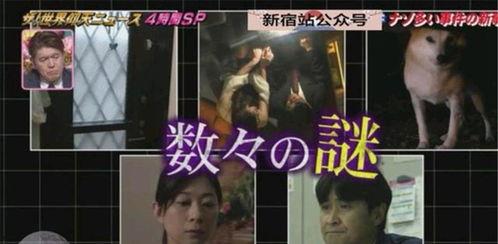 杭州纵火案最新爆料,细节披露,真相渐明 第2张 杭州纵火案最新爆料,细节披露,真相渐明 第2张